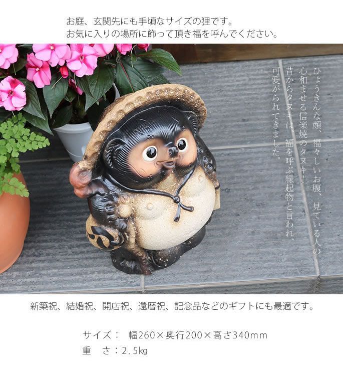 信楽焼 11号古信楽風福狸 信楽焼たぬき縁起物タヌキ 陶器タヌキ