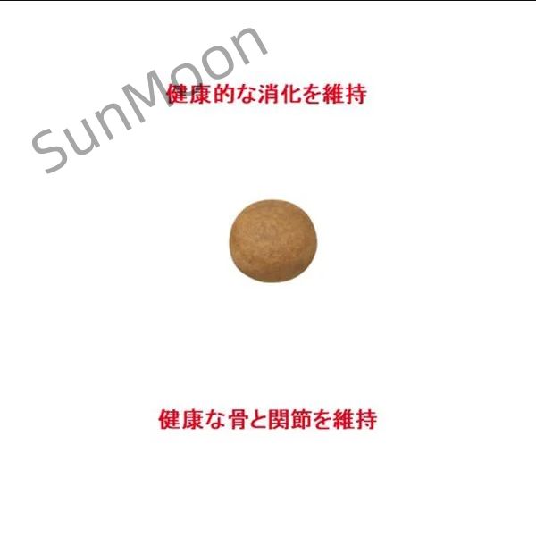 15kg AA028