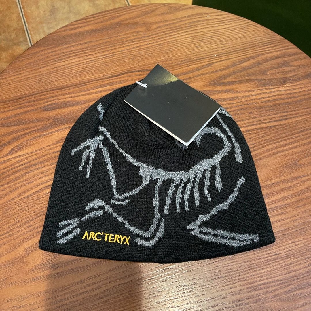 アークテリクスの新作 ARC'TERYX コールドハット ニット帽