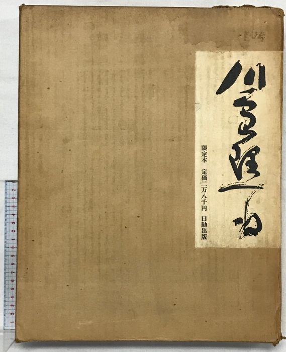 呪物 明治 改正増補 KLINISCHES RECEPT-TASCHENBUCH 高品質