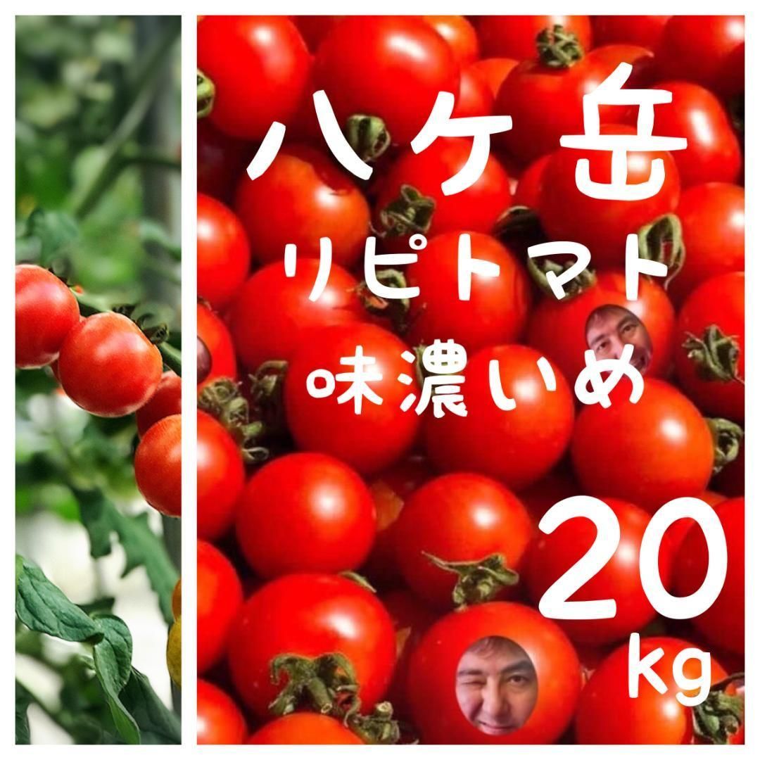 八ヶ岳産 リピトマト 約20kg 貴社のリピーター顧客と売上増が期待 