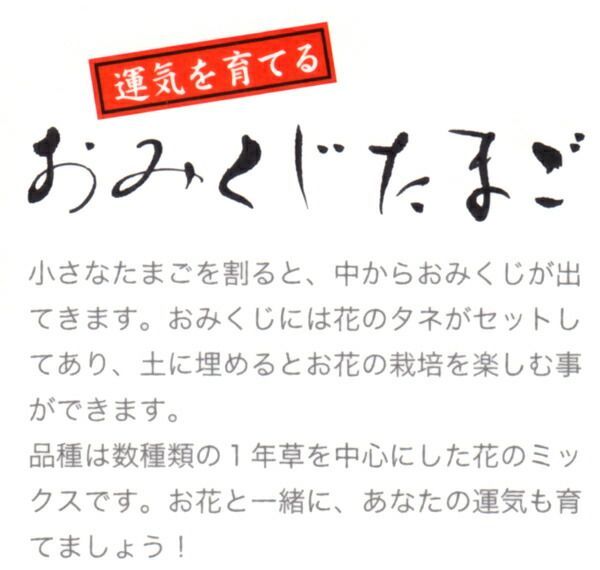 おめでたおみくじたまごセット30入