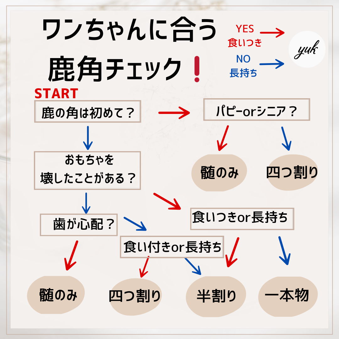 【クーポン発行中】🐶超小型犬用🐶半割り✅2本セット🦌北海道産エゾ鹿の角🦌犬のおもちゃ🐕鹿の骨　A