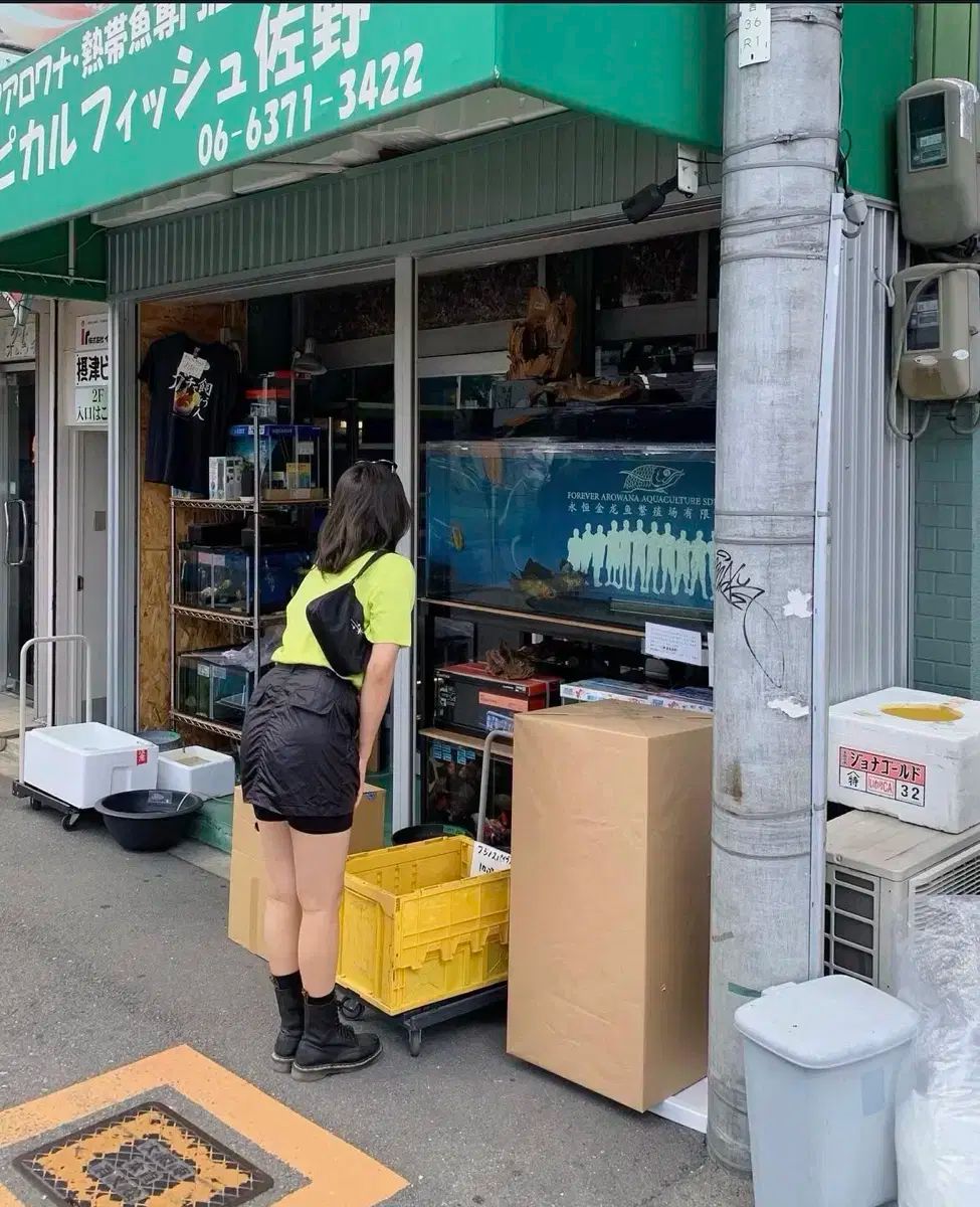 コーディネート