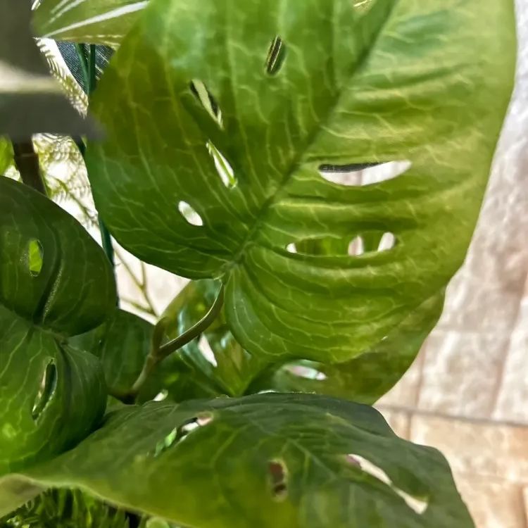 光触媒 人工観葉植物 ウォールグリーン フェイクグリーン ドラセナ