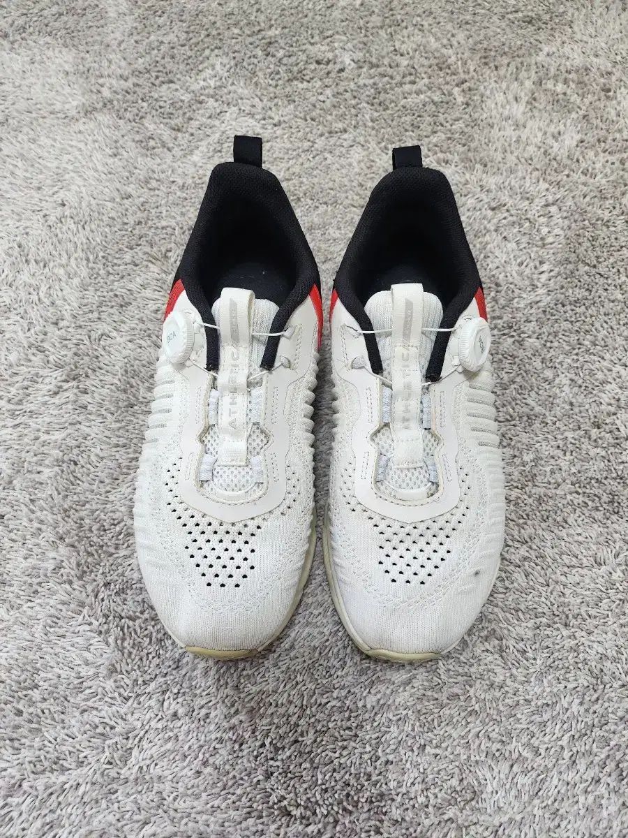 EIDER クォンタム
