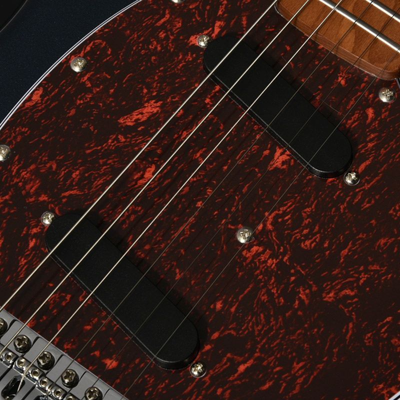 ミディアムスケール バッカス