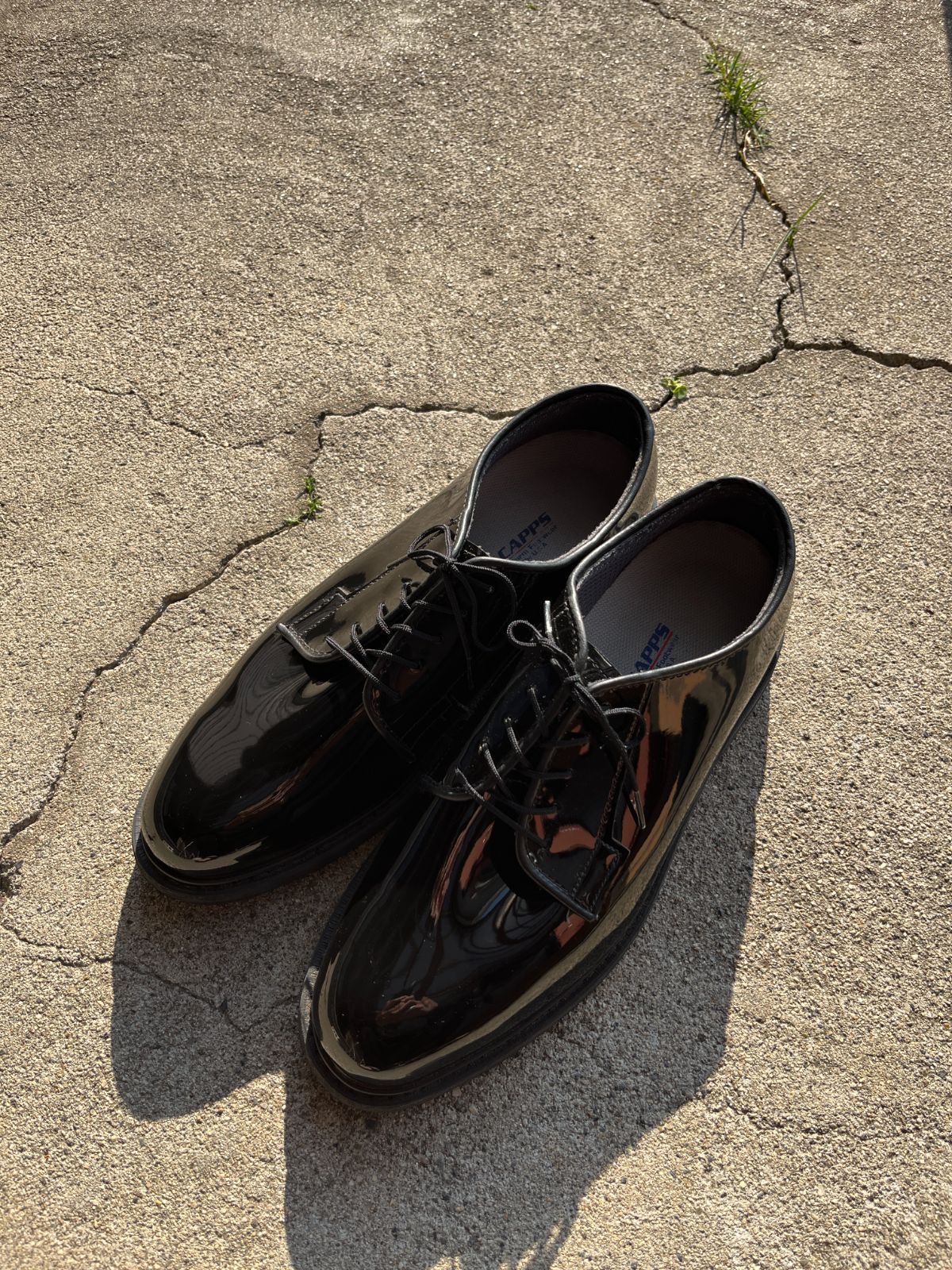 Amazon.co.jp: [ヘザーブラウン] HEATHER BROWN アートプリント FULL