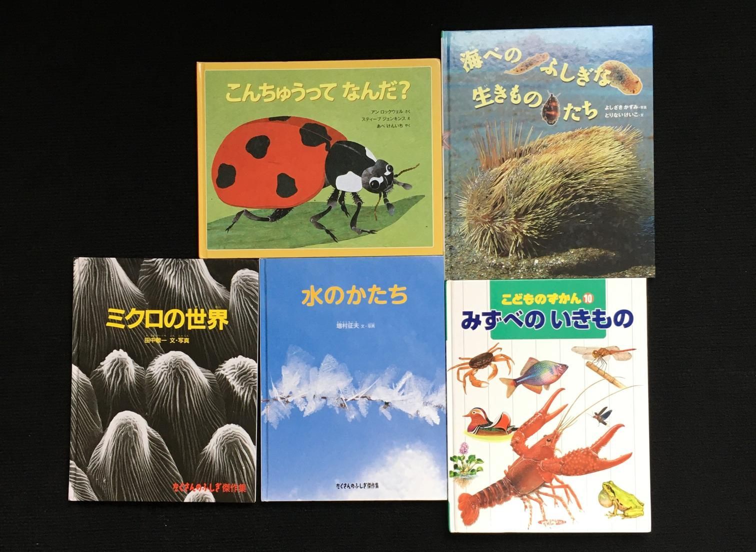 福袋 公式 まとめ売り 図鑑 絵本 かがく メルカリ - 18冊 いきもの しぜん 絵本+児童書