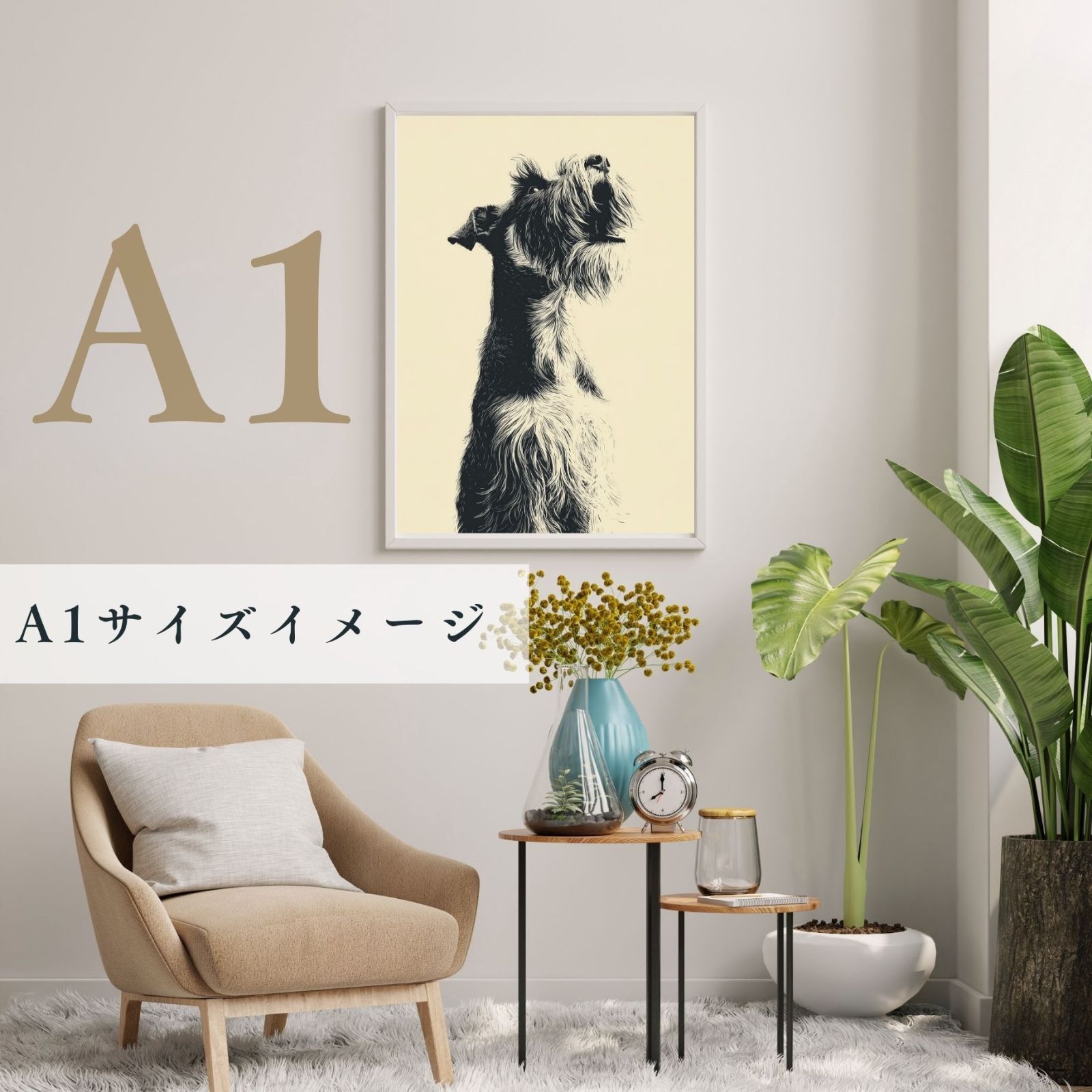 - シュナウザー犬
