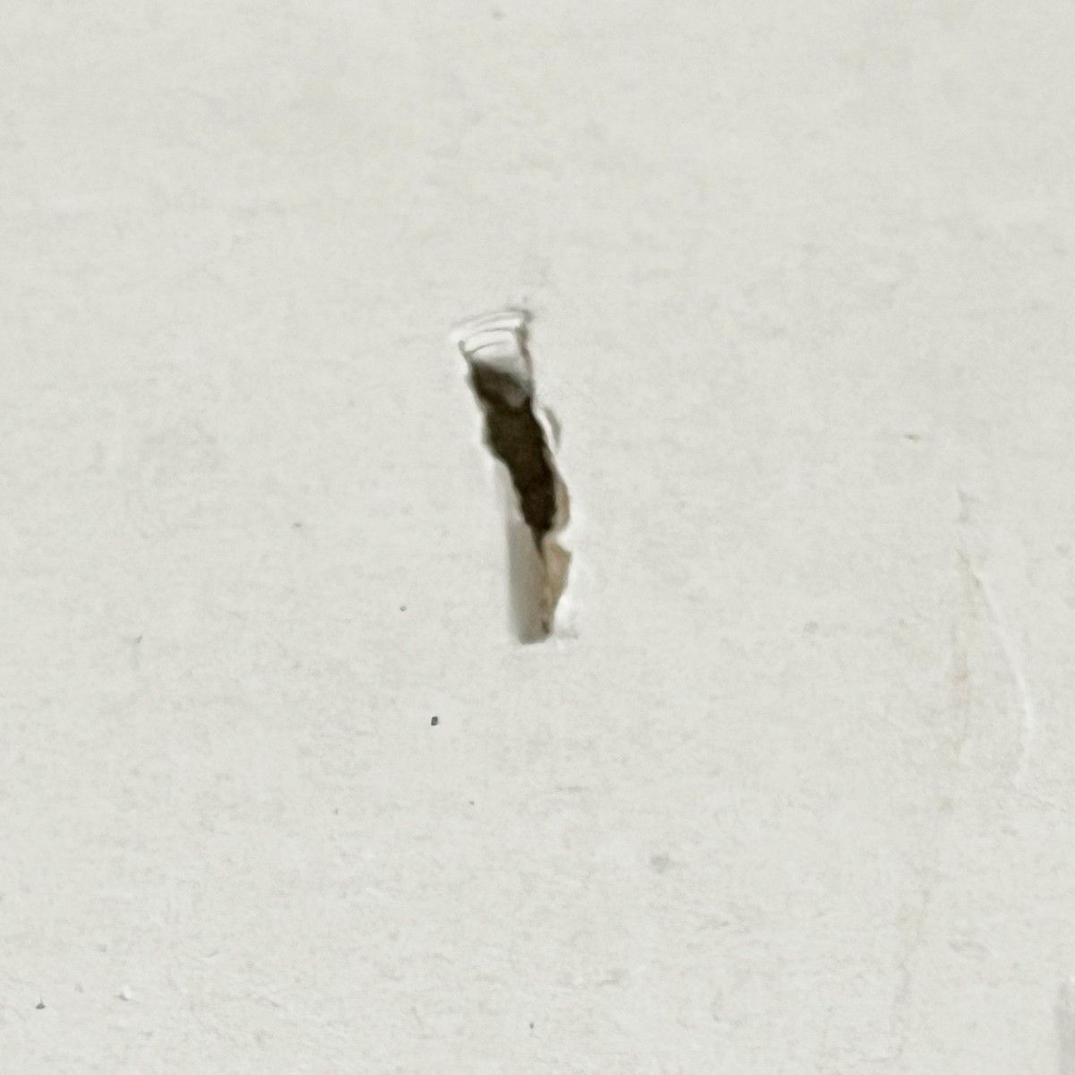  snowpeak スノーピーク ローチェア ショート アイボリー LV 093 ドリンクホルダー アウトドアチェア テーブル チェア ハンモック