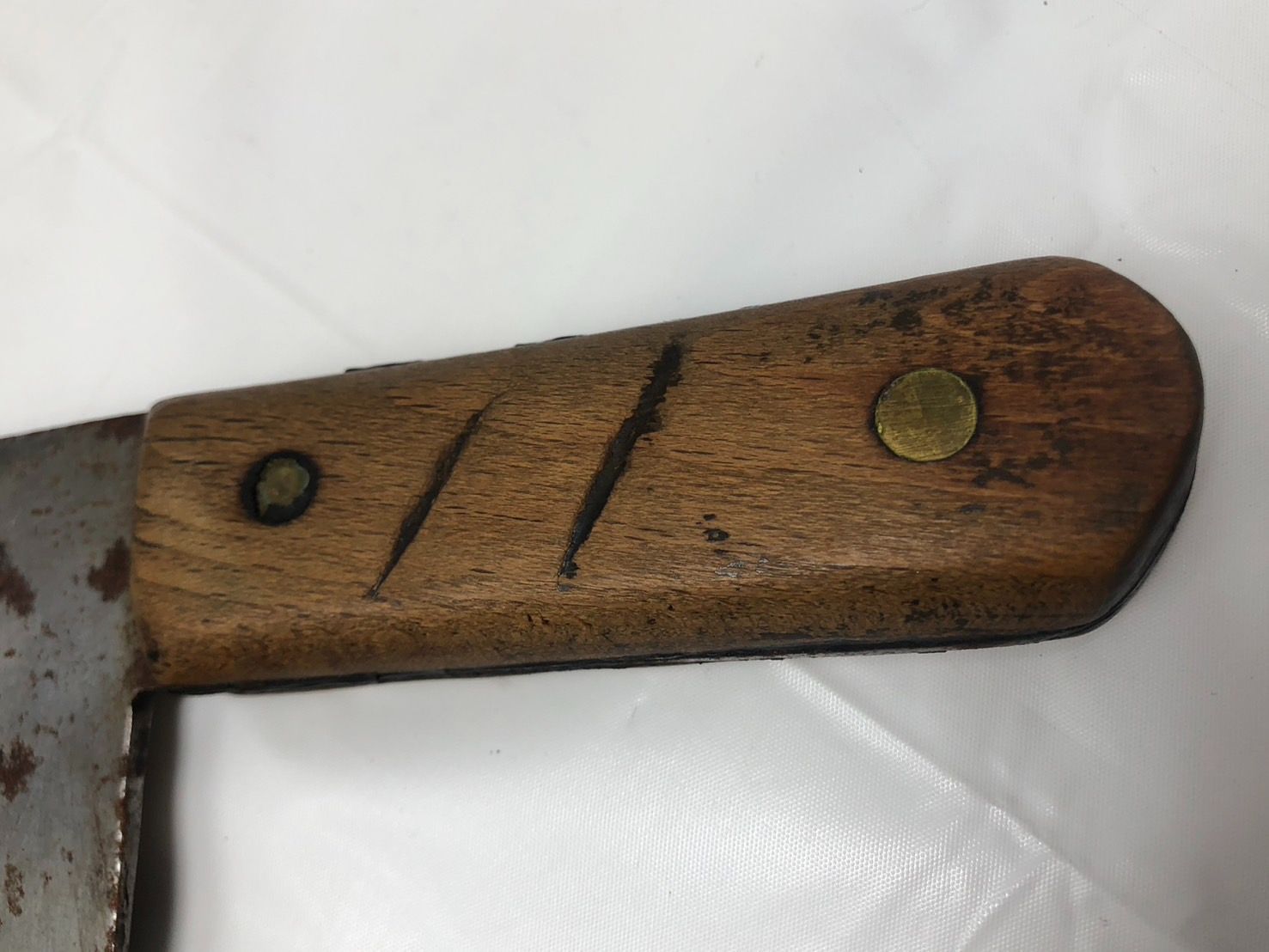 約22.5cm