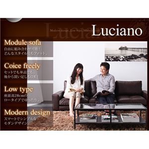 ソファーセット 3人掛け【Luciano】肘あり ダークブラウン モジュールローソファ【Luciano】ルチアーノ【セット】 モジュール ソファーセット ダークブラウン フロアソファ 1P ロー