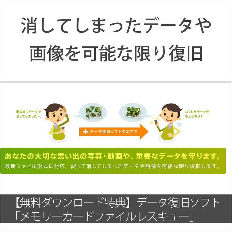 CEA-Gシリーズ 960GB