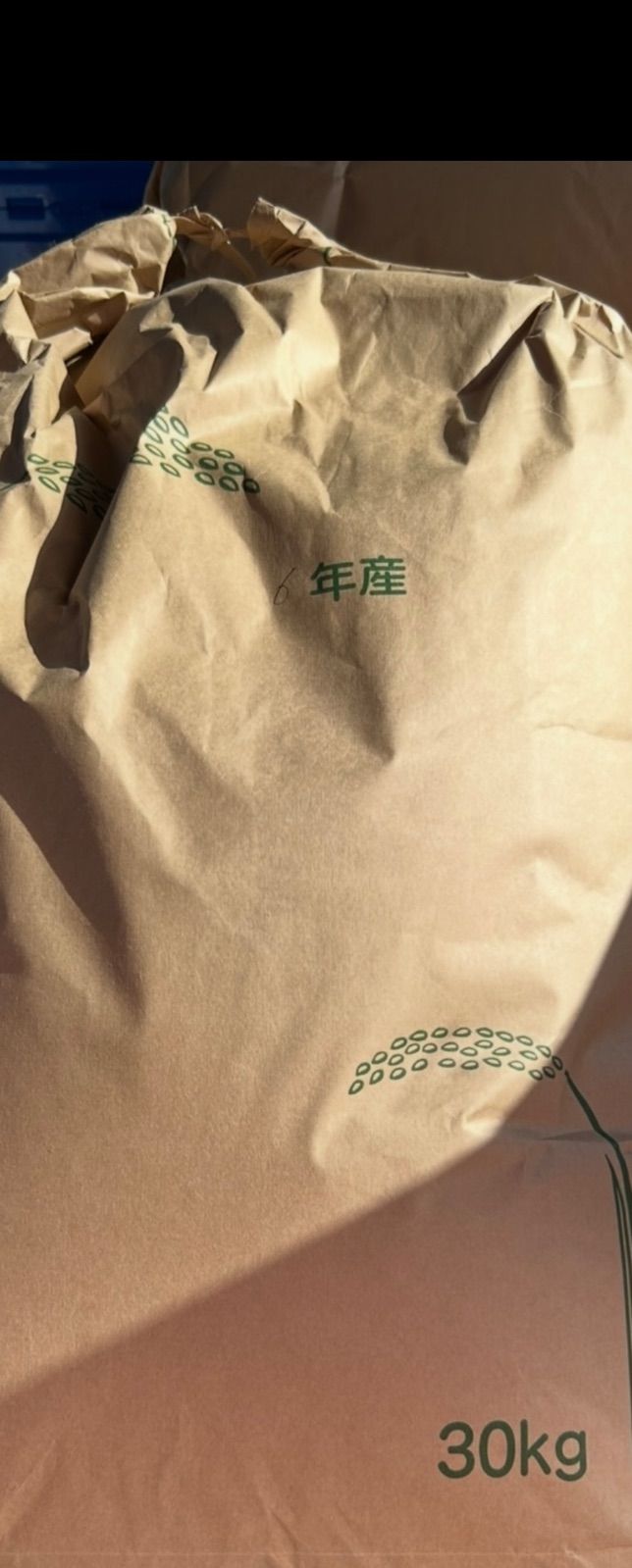 豆*豆様 岐阜県揖斐郡固有種ハツシモ令和6年11月21日収穫、 宮内庁大膳課納め 岐阜県 揖斐郡産 令和6年産 味のいび米 はつしも 10kg 1袋 お米