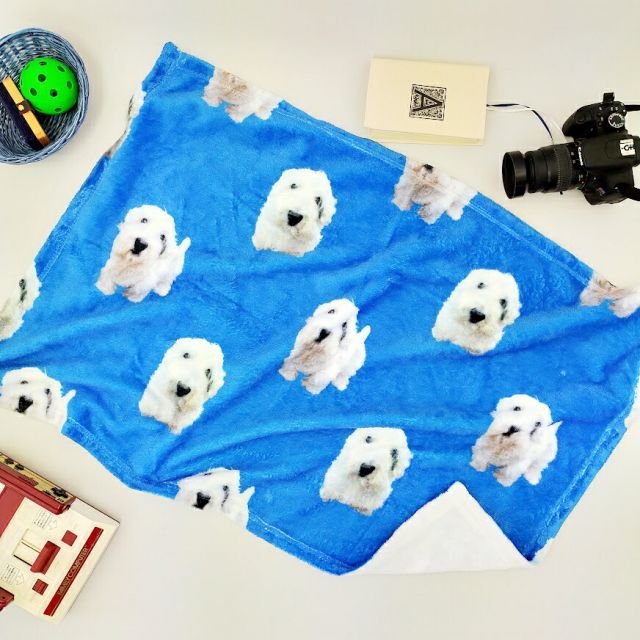 クッションカバー 記念写真