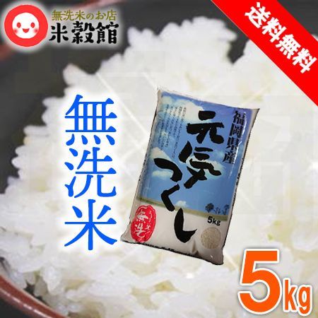 米5kg 無洗米 福岡県産 元気つくし 一般米 5キロ 送料無料九州産