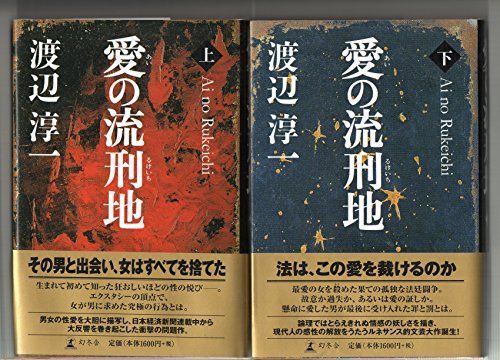 「非常に良い」愛の流刑地 上下2巻セット