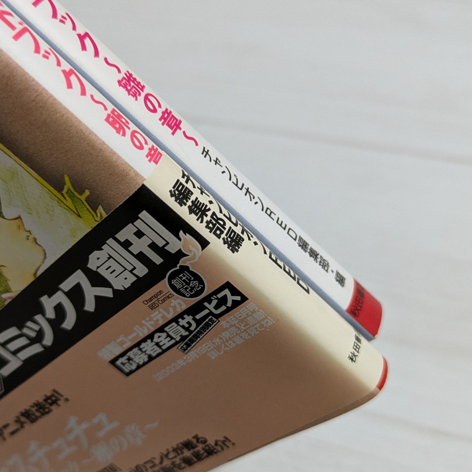 初版＞プリンセスチュチュ アニメ公式ガイドブック 卵の章 & 雛の章（2