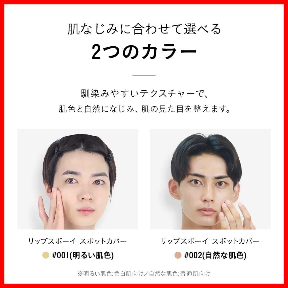 リップスボーイ スポットカバー