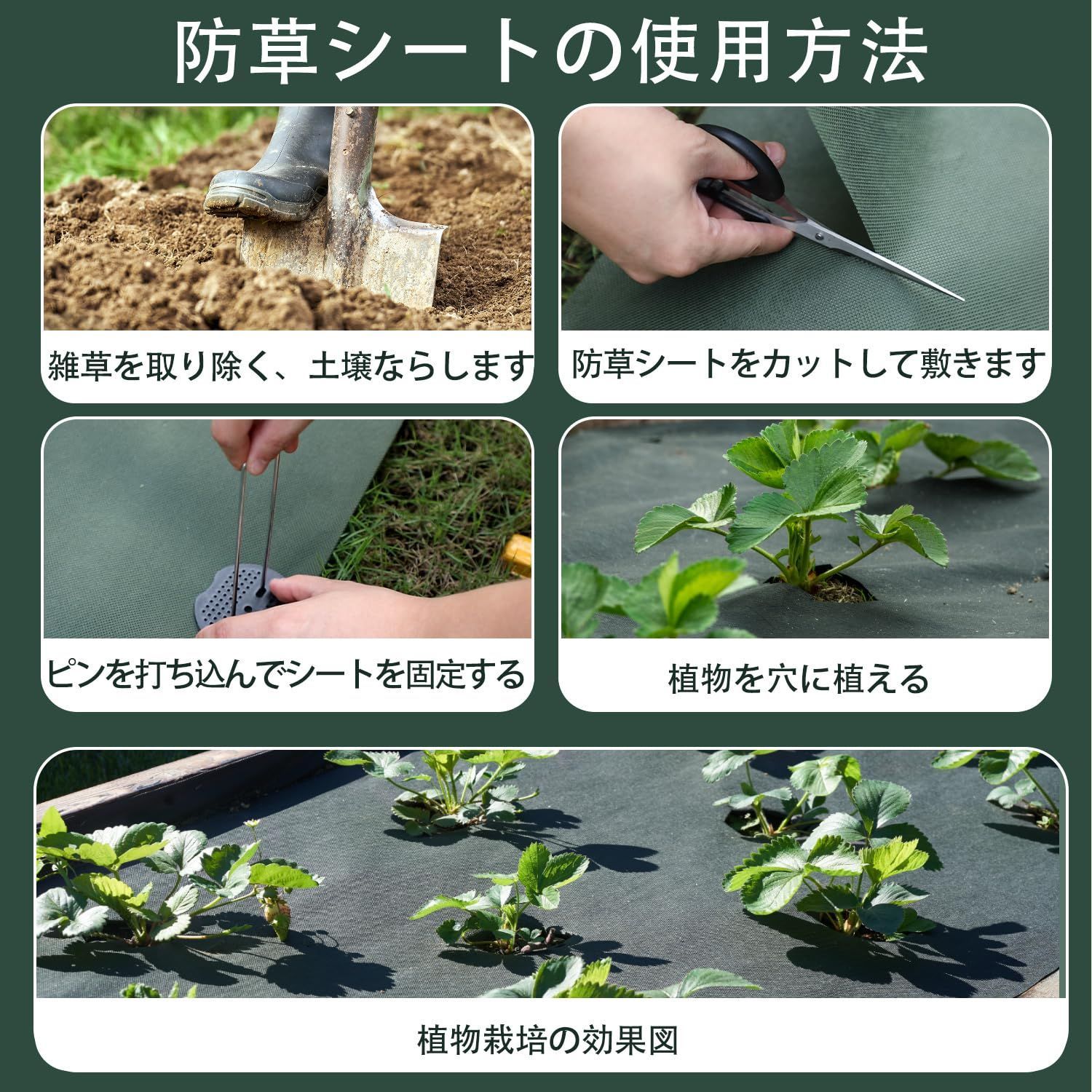 お早めに！ 在庫処分 改良版 防草シート 除草シート 1m×50m ぼうそうシート 高透水 高耐久 高密度 Uピン杭50本と黒丸50枚付き 厚手 耐用年数は5年 雑草防止 工事用 園芸用 人工芝下シート UV耐候剤配合 農業 庭 通路など雑草防止シート 全国送料無料!