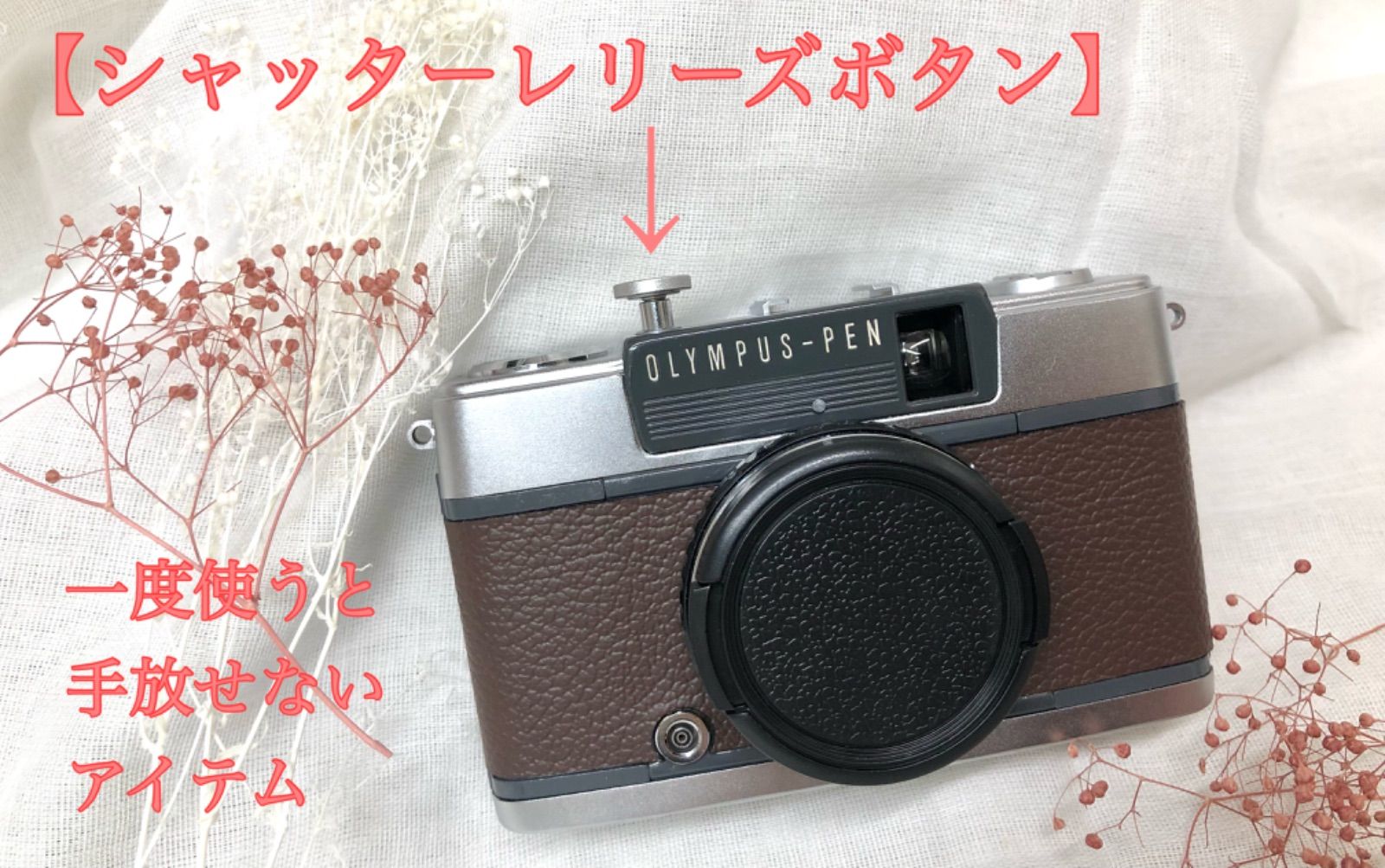 Olympus PEN-F ARTISAN&ARTIST オリジナルレリーズボタン(未使用の美品