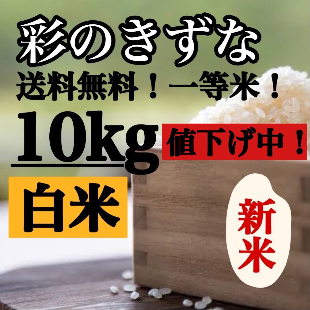 白米 10kg 彩のきずな 新米 埼玉県産 令和5年産 送料無料 米 10キロ