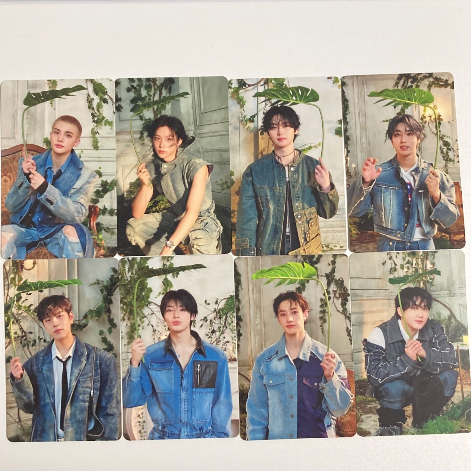 stray kids Hollow 初回限定盤 A 封入 トレカ ② 8種コンプ
