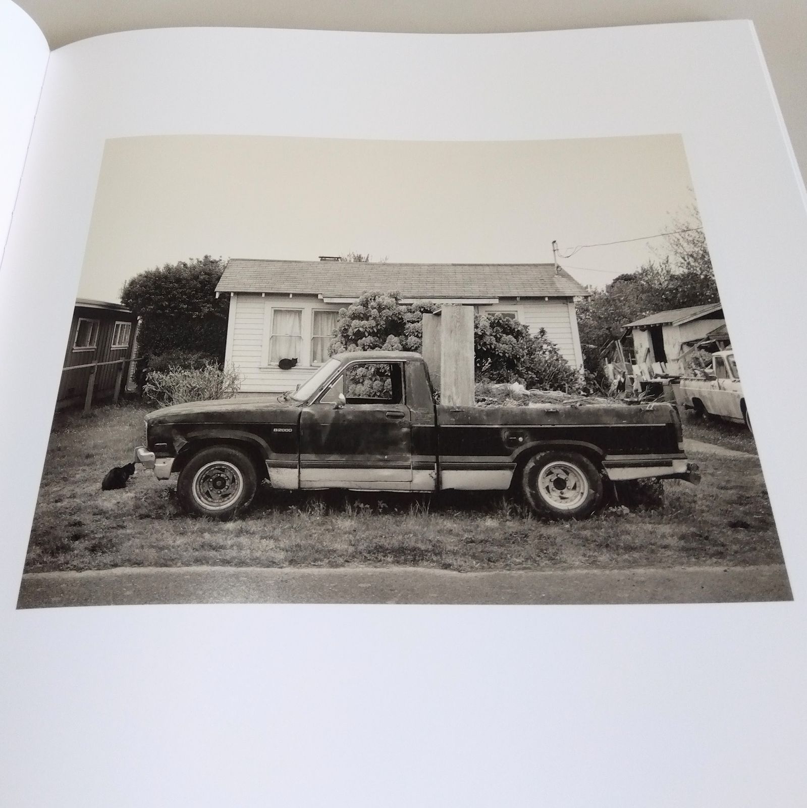 Richard Rothman: Redwood Saw Redwood Saw | with Portrait Photographers