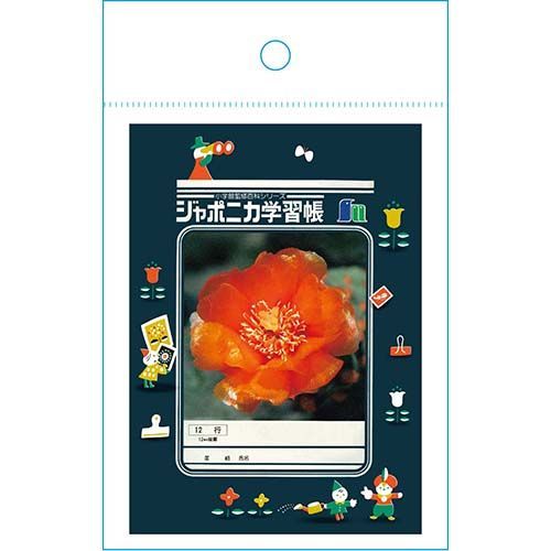 まとめ ショウワノート ジャポニカ封筒Ａ ジャポニカ学習帳文具２ 緑 819998001 ×30セット
