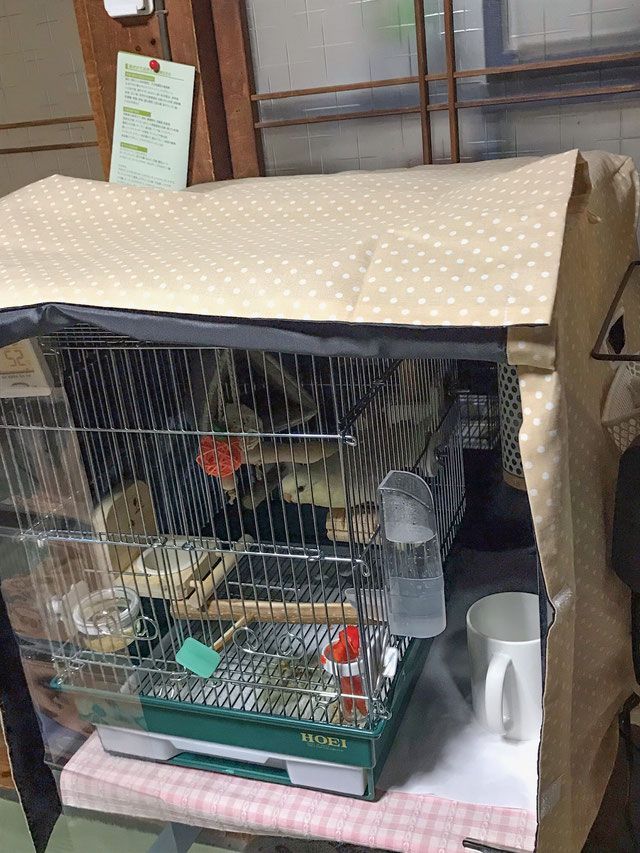 夏用
