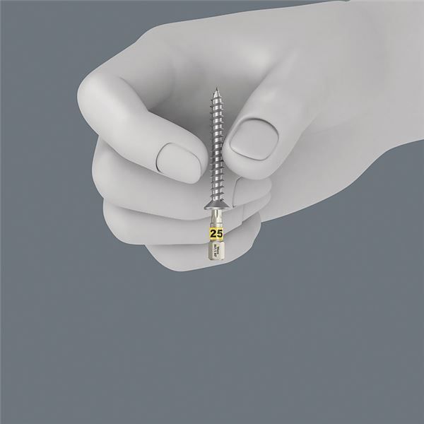  WERA ヴェラ 20本組 差込6.35 mm ビットボックス サイズTX 20 057777 工具 ツール DIY 作業工具 道具 ドライバービット ドライバー