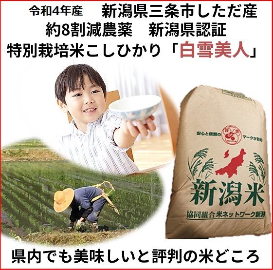 玄米30キロ】 新潟県産コシヒカリ 1等 令和4年産 送料無料