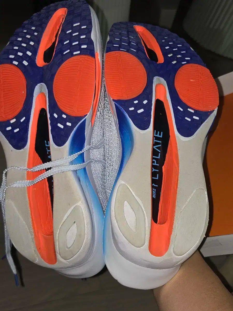 アルファフライ