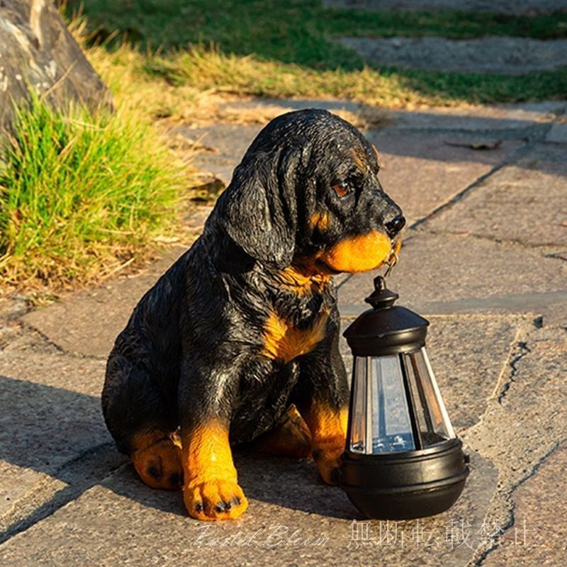 子犬