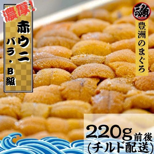 緊急特価】毎日吟選！ 赤ウニ ２５０ｇ バラ Bランク 弁当箱