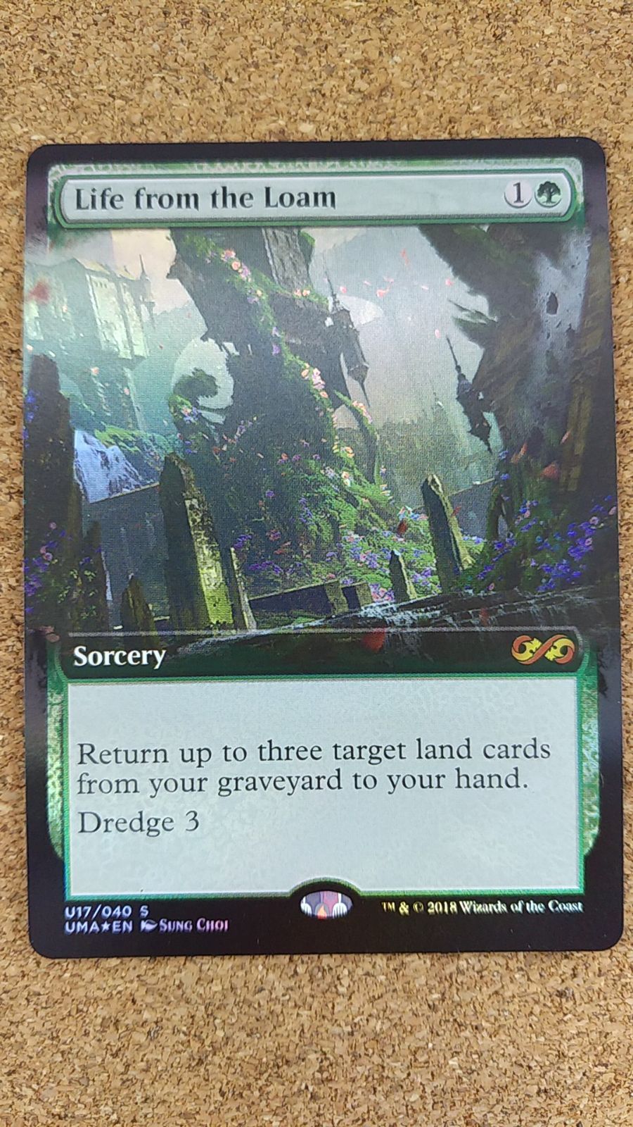MTG 壌土からの生命 英語 FOIL | www.carmenundmelanie.at
