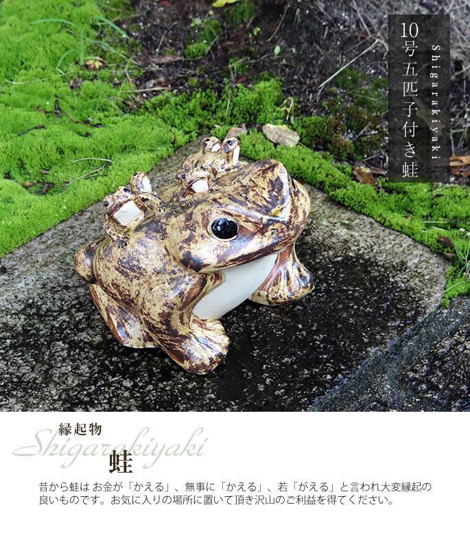信楽焼 しがらき やきもの 陶器 置物 カエル かえる 縁起物 信楽焼 しがらき やきもの 陶器 置物 カエル かえる 縁起物