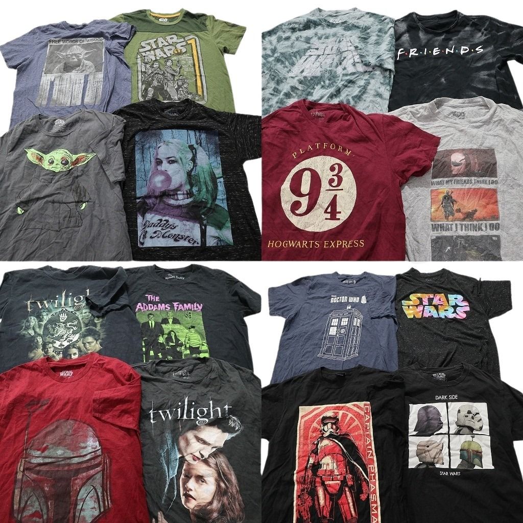 古着卸 映画 ドラマ 半袖Tシャツ 16枚セット メンズ Ｍ ハリーポッター アダムスファミリー 古着 NA0166