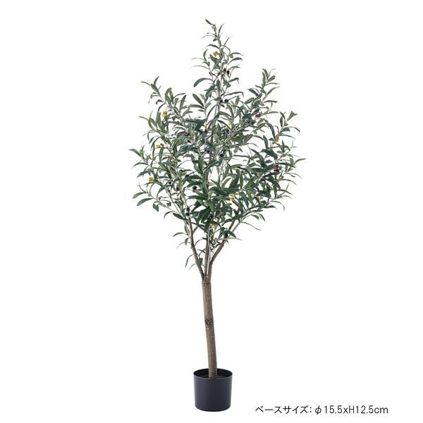 フェイクグリーン オリーブ GRN-17 人工観葉植物 室内 おしゃれ