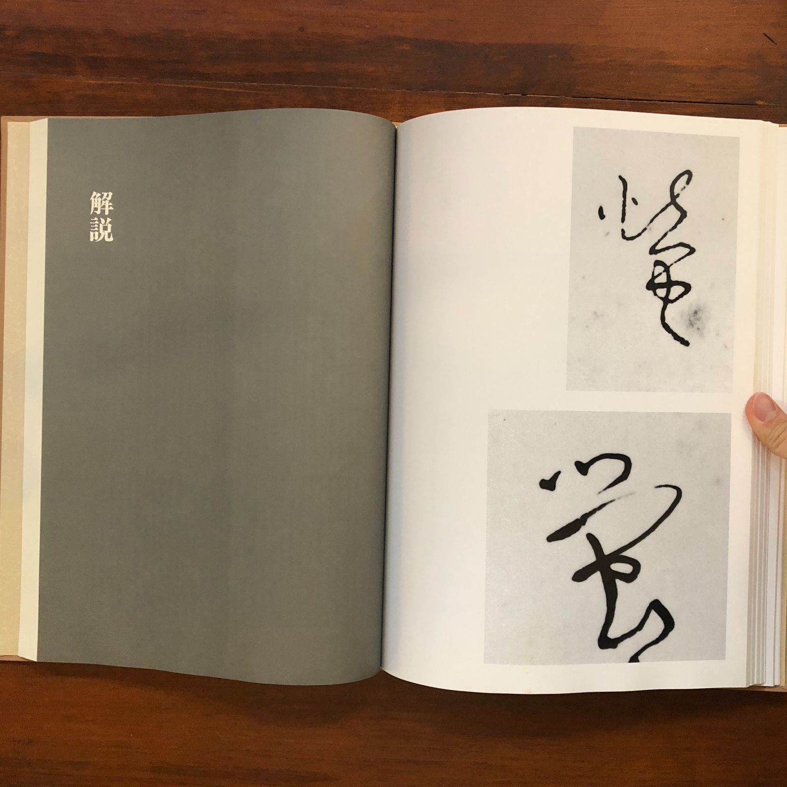良寛曼陀羅 鈴木史楼 編 1990.9 名著刊行会 38cm ☆遺墨 俳句 短歌
