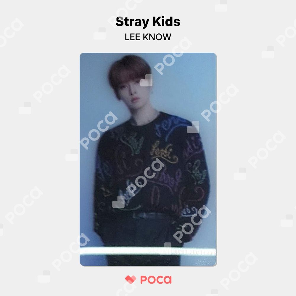 DFESTA トレカ StrayKids LeeKnow リノ誕生日 DFESTA トレカ StrayKids LeeKnow リノ誕生日（Stray Kidsファン