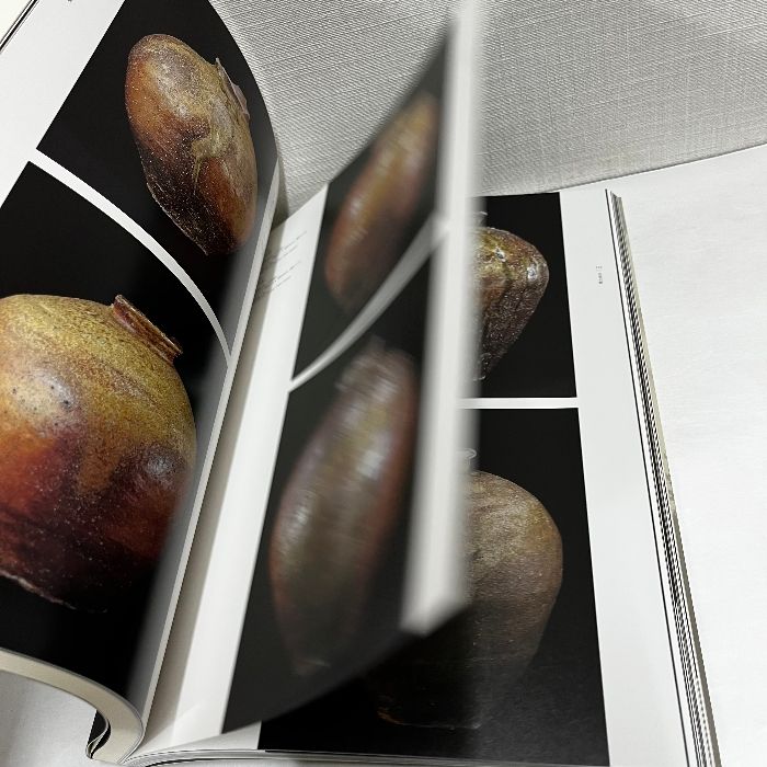 信楽　壺中の天　ミホミュージアム 図録 信楽 壺中の天 | MIHO MUSEUM | nostos books ノストスブックス