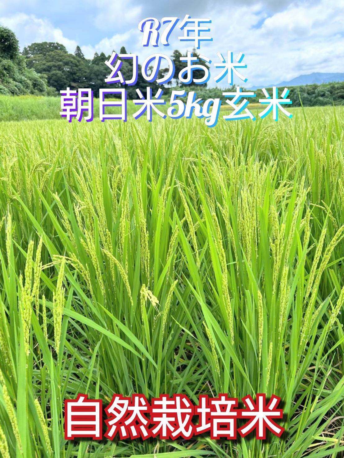 R7年 自然栽培米 朝日米5kg玄米
