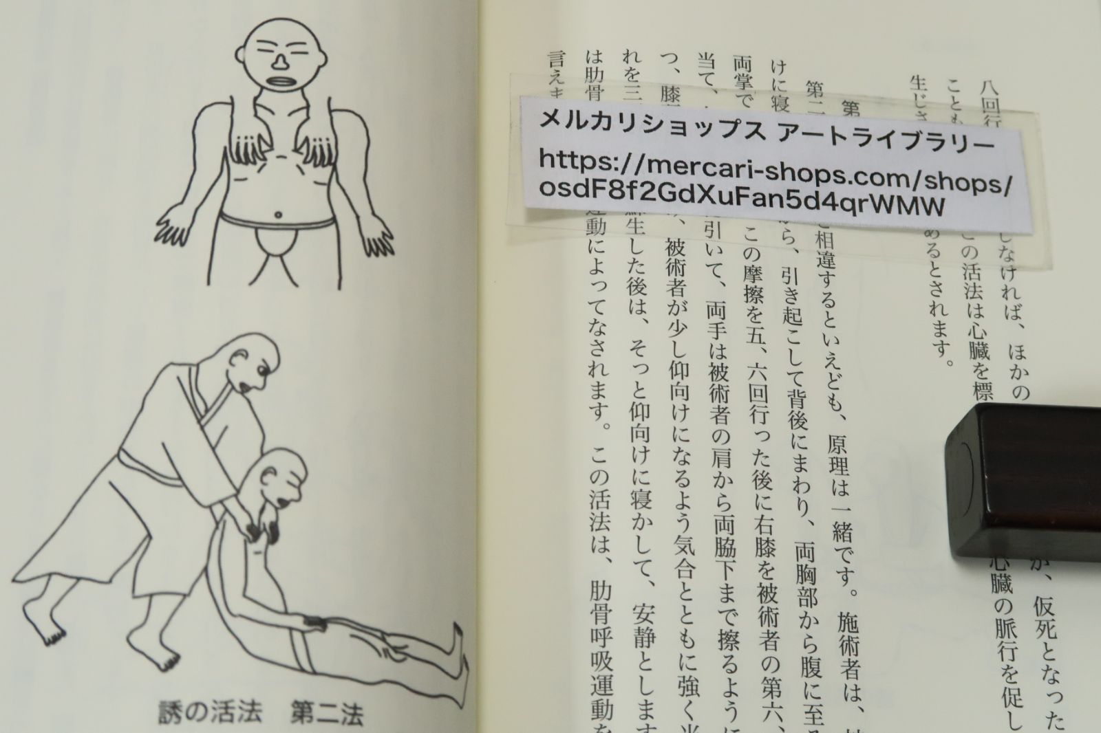 古流柔術の殺法・活法/江夏怜/古流柔術に伝わる活殺自在の最高秘伝・時代を超えて伝えられる至高の哲理・殺法と活法の知識を紹介する - メルカリ