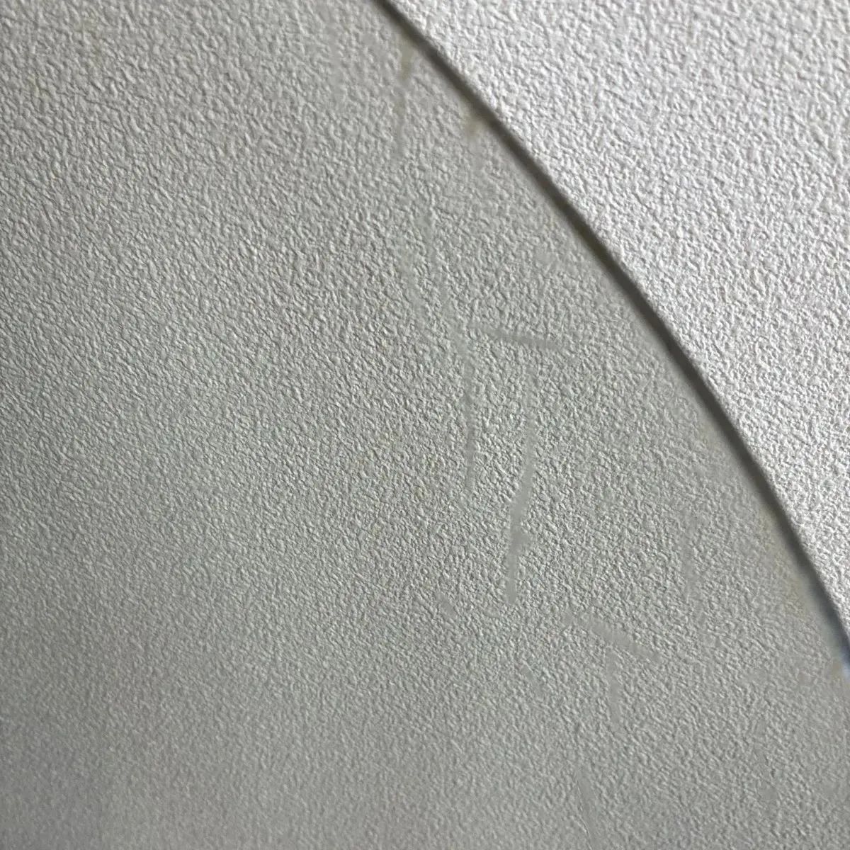 ウインドシールド