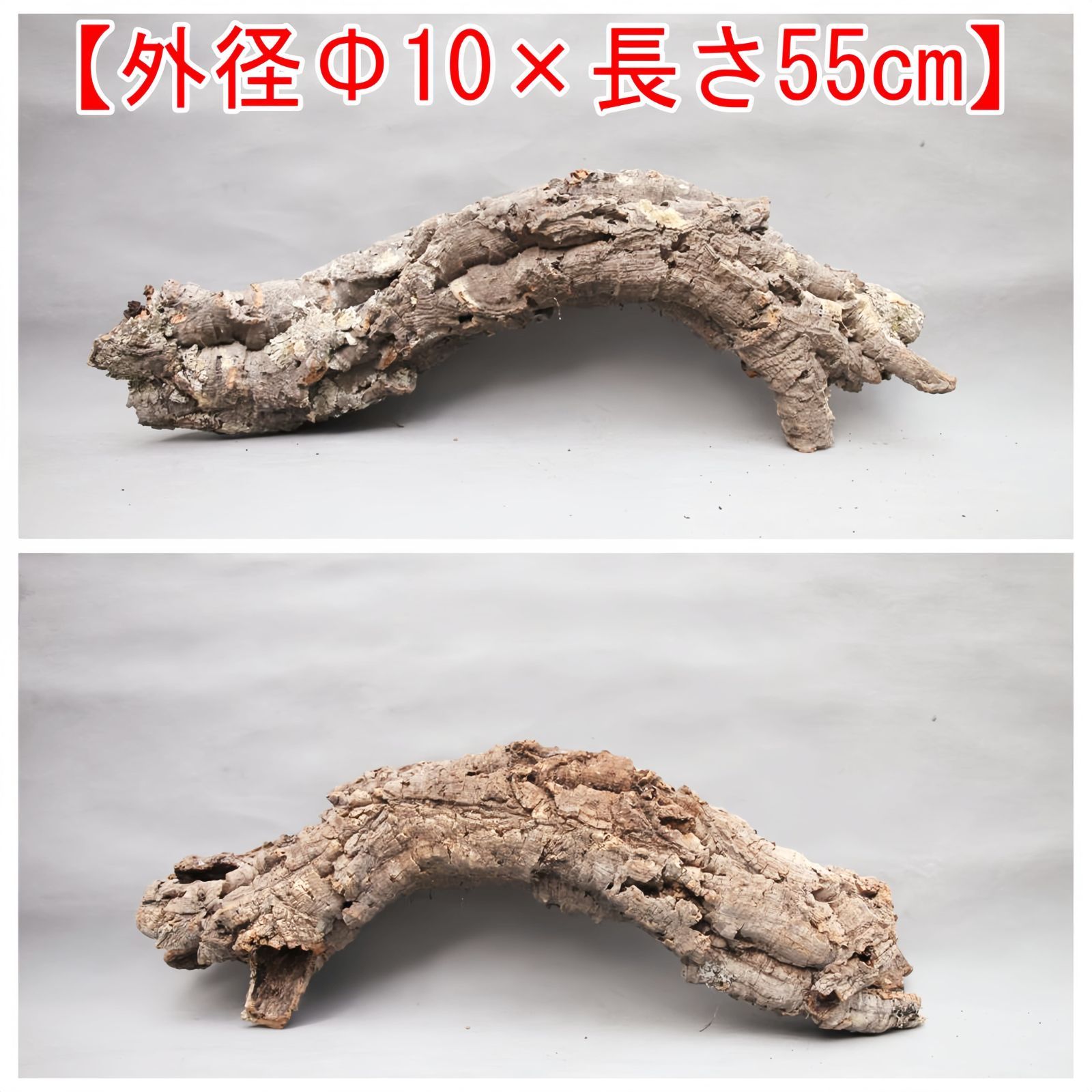 250820 ポルトガル産 キャノンコルク コルク樹皮コルク板　バージンコルク 250820 ポルトガル産 キャノンコルク コルク樹皮コルク板