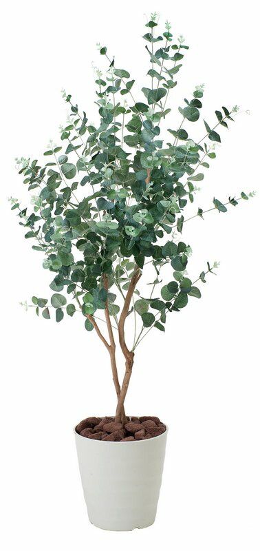 楽天市場】【スーパーSALE10％OFF】光触媒観葉植物 ブランチ