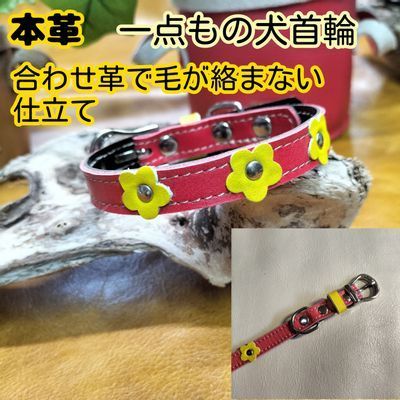 犬 ストア 首輪 毛がない