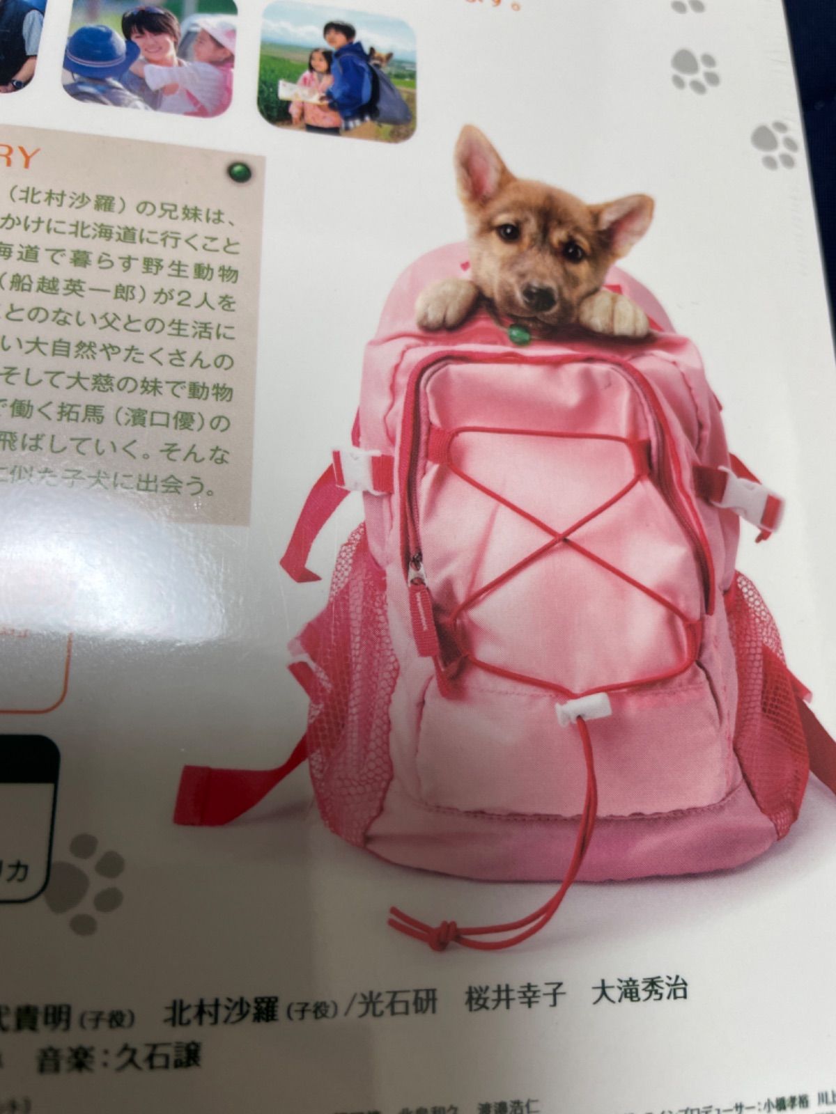 人気海外一番 ウルルの森の物語 Dvd Dvd いぬ 犬 Espaciomalvon Com Ar 人気海外一番 ウルルの森の物語 Dvd Dvd いぬ 犬 Espaciomalvon Com Ar